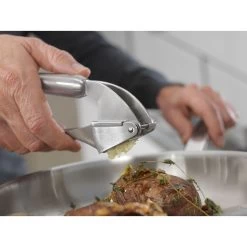 Zwilling Knoblauchpresse, 20 Cm, 18/10 Edelstahl -Küchenutensilien Verkäufe 000021406